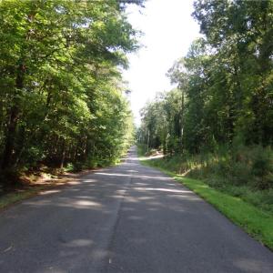 street in front of lot