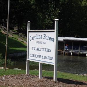 Photo #10 of Chapel Hill, Troy, NC 0.4 acres