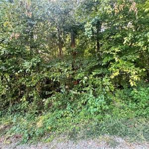 Photo #2 of Sir Abbott, Lexington, NC 0.2 acres