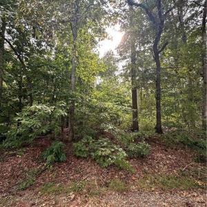 Photo #1 of Sir Abbott, Lexington, NC 0.2 acres