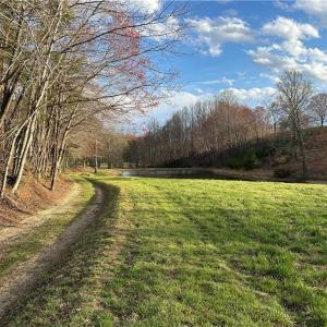Photo #7 of TBD IKE SLATE LANE, Ararat, VA 27.0 acres