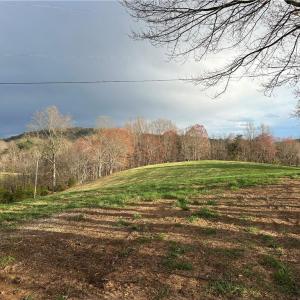 Photo #8 of TBD IKE SLATE LANE, Ararat, VA 27.0 acres