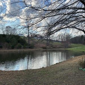 Photo #13 of TBD IKE SLATE LANE, Ararat, VA 27.0 acres