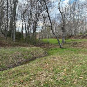 Photo #15 of TBD IKE SLATE LANE, Ararat, VA 27.0 acres