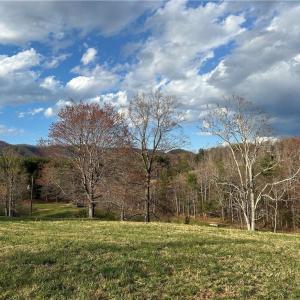 Photo #2 of TBD IKE SLATE LANE, Ararat, VA 27.0 acres