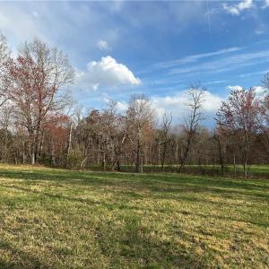 Photo #28 of TBD IKE SLATE LANE, Ararat, VA 27.0 acres