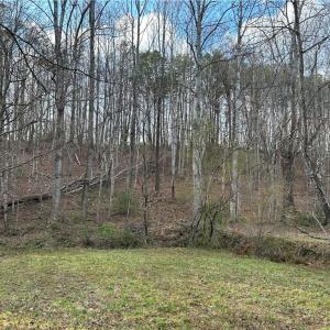 Photo #18 of TBD IKE SLATE LANE, Ararat, VA 27.0 acres