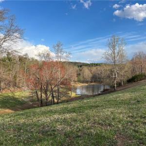 Photo #25 of TBD IKE SLATE LANE, Ararat, VA 27.0 acres