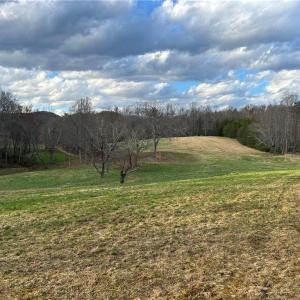 Photo #21 of TBD IKE SLATE LANE, Ararat, VA 27.0 acres
