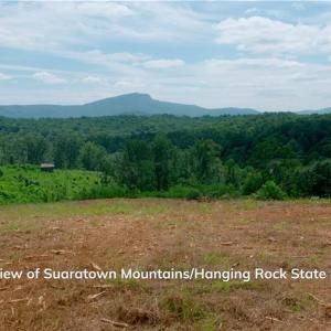 Photo #27 of Ellis Lawson, Danbury, NC 15.8 acres