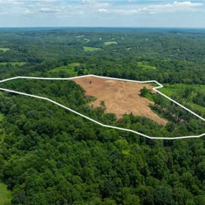 Photo #2 of Ellis Lawson, Danbury, NC 15.8 acres