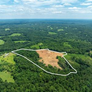 Photo #6 of Ellis Lawson, Danbury, NC 15.8 acres