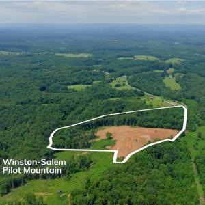 Photo #13 of Ellis Lawson, Danbury, NC 15.8 acres
