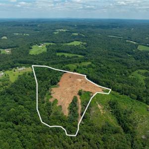 Photo #7 of Ellis Lawson, Danbury, NC 15.8 acres