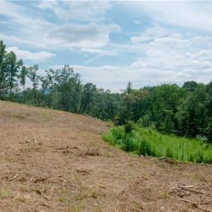 Photo #32 of Ellis Lawson, Danbury, NC 15.8 acres