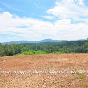 Photo #1 of Ellis Lawson, Danbury, NC 15.8 acres
