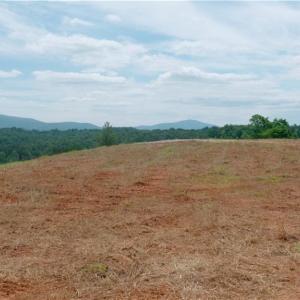 Photo #28 of Ellis Lawson, Danbury, NC 15.8 acres