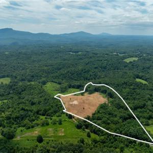 Photo #5 of Ellis Lawson, Danbury, NC 15.8 acres