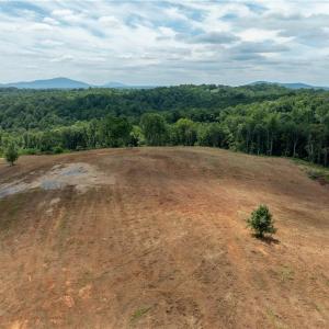 Photo #9 of Ellis Lawson, Danbury, NC 15.8 acres