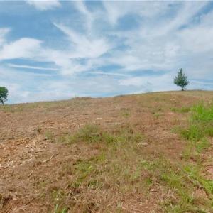 Photo #30 of Ellis Lawson, Danbury, NC 15.8 acres