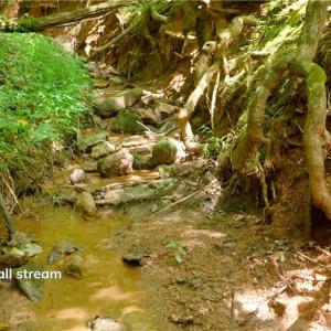 Photo #34 of Ellis Lawson, Danbury, NC 15.8 acres