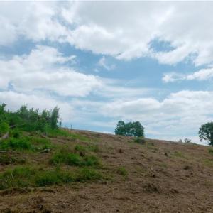 Photo #38 of Ellis Lawson, Danbury, NC 15.8 acres