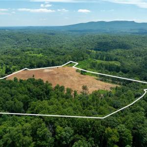 Photo #10 of Ellis Lawson, Danbury, NC 15.8 acres