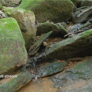 Photo #33 of Ellis Lawson, Danbury, NC 15.8 acres