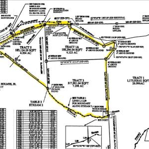 Photo #45 of Ellis Lawson, Danbury, NC 15.8 acres