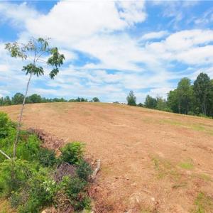 Photo #18 of Ellis Lawson, Danbury, NC 15.8 acres