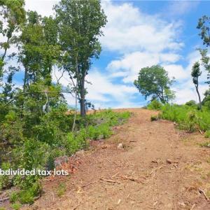 Photo #19 of Ellis Lawson, Danbury, NC 15.8 acres