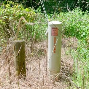 Photo #40 of Ellis Lawson, Danbury, NC 15.8 acres