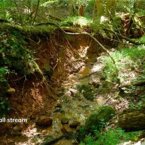 Photo #35 of Ellis Lawson, Danbury, NC 15.8 acres