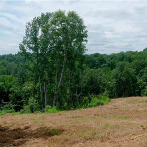 Photo #31 of Ellis Lawson, Danbury, NC 15.8 acres