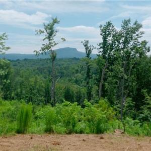 Photo #25 of Ellis Lawson, Danbury, NC 15.8 acres