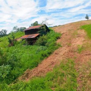 Photo #21 of Ellis Lawson, Danbury, NC 15.8 acres