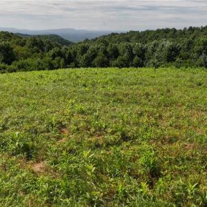 Photo #23 of Continental, Hillsville, VA 1.6 acres