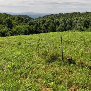 Photo #27 of Continental, Hillsville, VA 1.6 acres