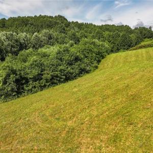 Photo #17 of Continental, Hillsville, VA 1.6 acres
