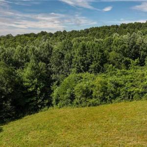 Photo #16 of Continental, Hillsville, VA 1.6 acres