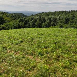 Photo #26 of Continental, Hillsville, VA 1.6 acres