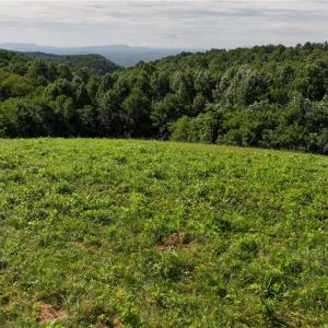Photo #22 of Continental, Hillsville, VA 1.6 acres