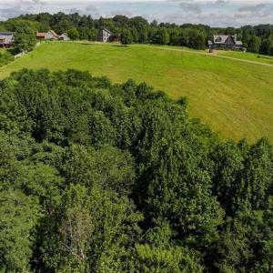 Photo #10 of Continental, Hillsville, VA 1.6 acres