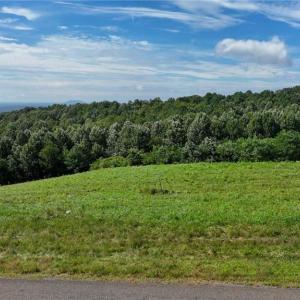 Photo #14 of Continental, Hillsville, VA 1.6 acres