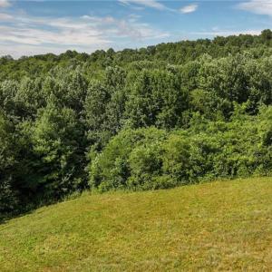 Photo #15 of Continental, Hillsville, VA 1.6 acres