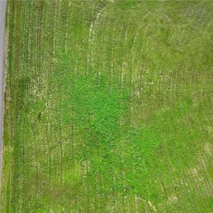 Photo #19 of Continental, Hillsville, VA 1.6 acres