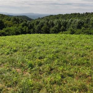 Photo #25 of Continental, Hillsville, VA 1.6 acres