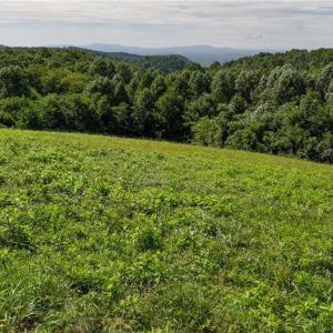 Photo #21 of Continental, Hillsville, VA 1.6 acres