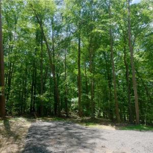 Photo #13 of 1508 Johnson, King, NC 2.3 acres