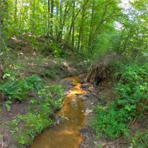 Photo #21 of 1508 Johnson, King, NC 2.3 acres